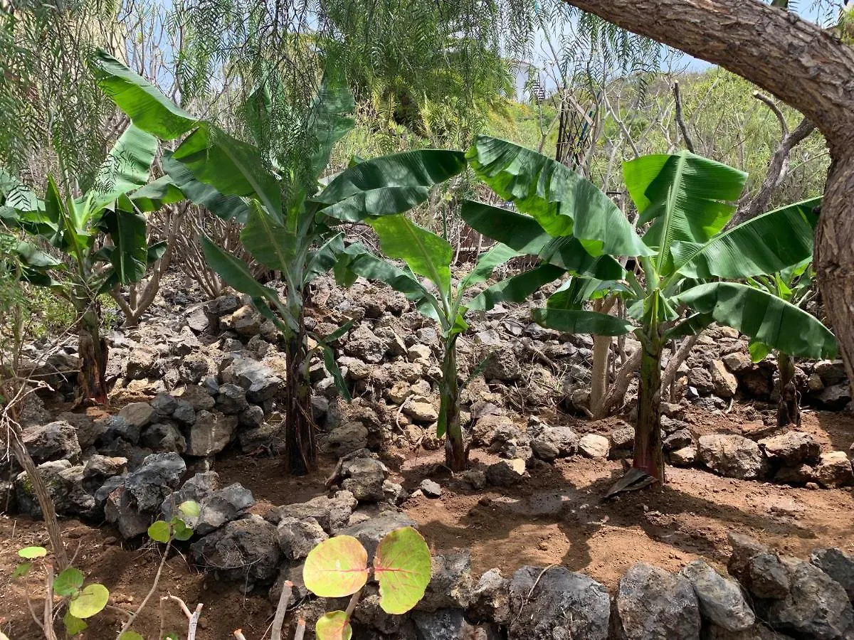 Bella Vista - Finca Tabaiba Icod De Los Vinos